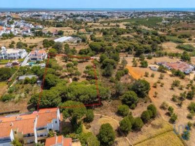 Acheter Terrain Faro rgion FARO