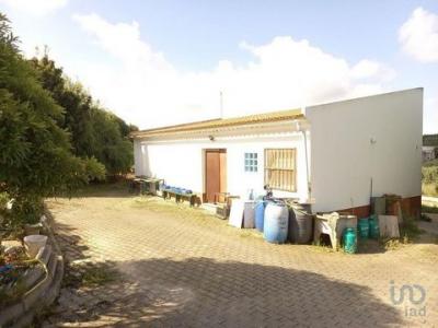 Annonce Vente Terrain Lourinha
