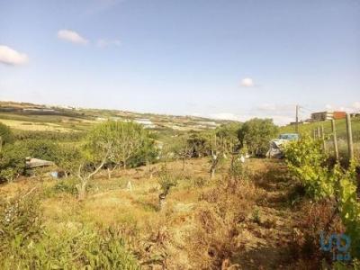 Acheter Terrain Lourinha rgion LISBOA