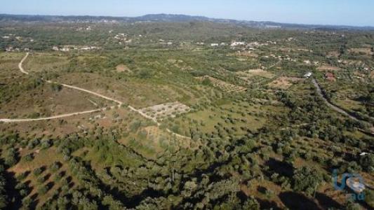 Annonce Vente Terrain Ferreira-do-zezere