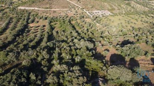 Acheter Terrain 4800 m2 Ferreira-do-zezere