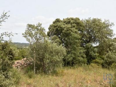 Acheter Terrain Ferreira-do-zezere rgion SANTAREM