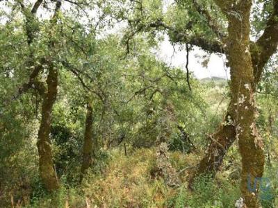 Acheter Terrain Ferreira-do-zezere rgion SANTAREM