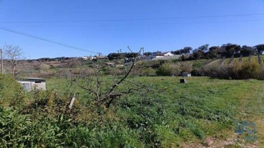 Annonce Vente Terrain Alcobaca