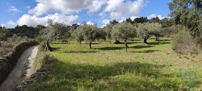 Annonce Vente Terrain Penamacor