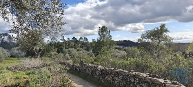 Acheter Terrain 2640 m2 Penamacor