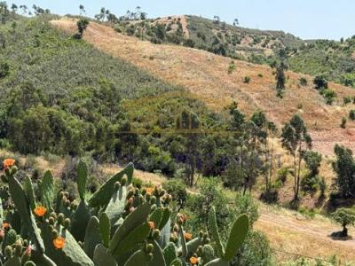 Annonce Vente Terrain Portimao