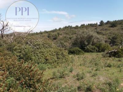 Annonce Vente Appartement Madeira