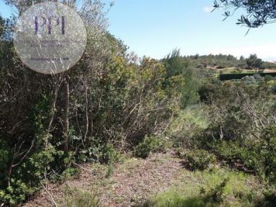 Acheter Appartement Madeira