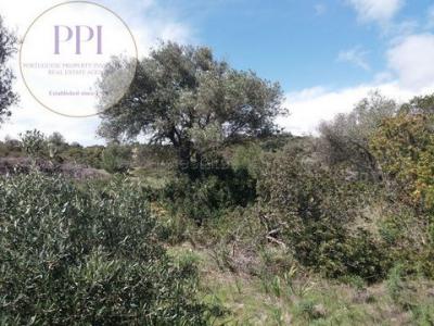 Acheter Appartement Madeira rgion CASTELO-BRANCO