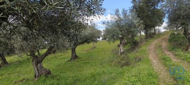 Annonce Vente Terrain Penamacor