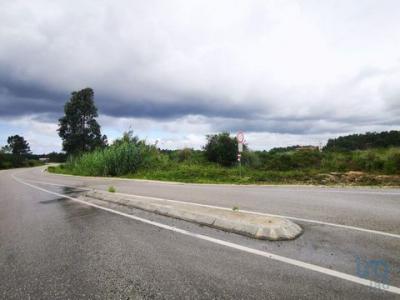 Acheter Terrain 32767 m2 Leiria