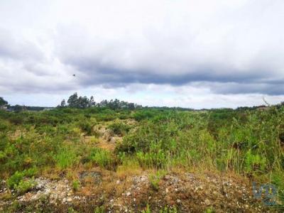 Acheter Terrain Leiria rgion LEIRIA
