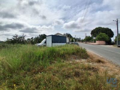 Acheter Terrain 540 m2 Caldas-da-rainha