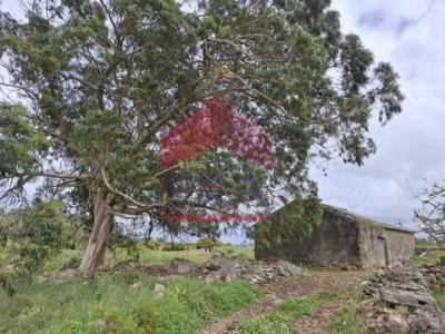 Vente Local industriel Lourinha REGUENGO-GRANDE 11 au Portugal