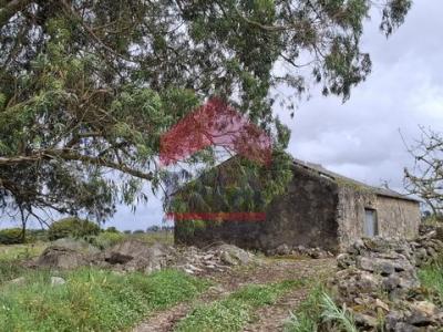 Annonce Vente Local industriel Lourinha