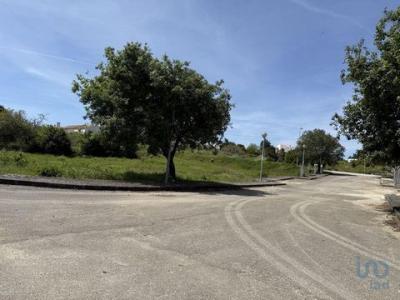 Acheter Terrain Lourinha rgion LISBOA