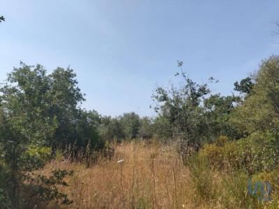 Acheter Terrain Ferreira-do-zezere rgion SANTAREM