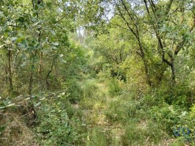 Annonce Vente Terrain Ferreira-do-zezere
