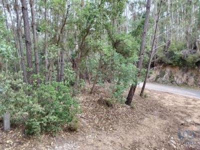 Acheter Terrain 1480 m2 Ferreira-do-zezere