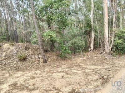 Acheter Terrain Ferreira-do-zezere rgion SANTAREM