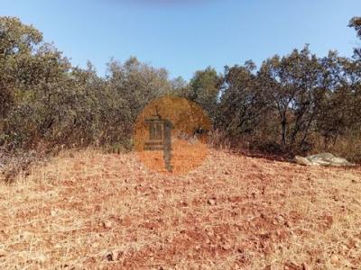 Acheter Terrain 7200 m2 Loule