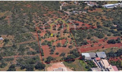 Annonce Vente Terrain Loule