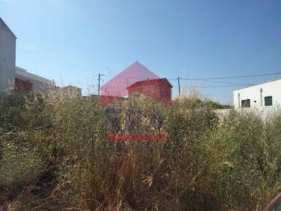 Acheter Terrain 448 m2 Lourinha