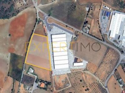 Annonce Vente Terrain Braganca