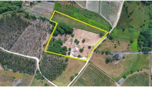 Annonce Vente Maison Alcoentre