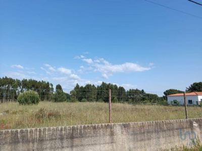 Acheter Terrain 4990 m2 Benavente