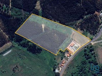 Annonce Vente Maison Cadaval