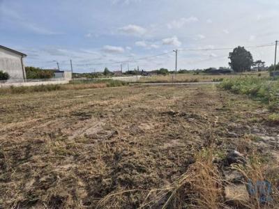 Acheter Terrain 610 m2 Vagos
