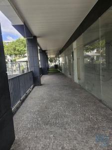 Louer Local commercial 200 m2 Funchal
