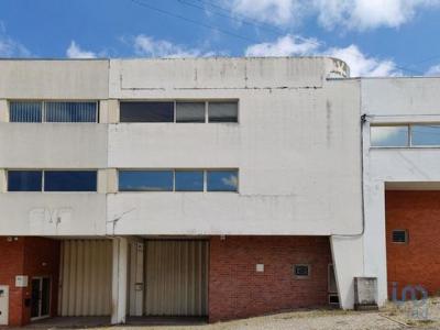 Annonce Location Local commercial Maia