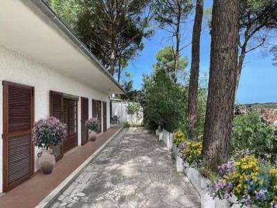 Acheter Maison Alem-da-ribeira rgion SANTAREM