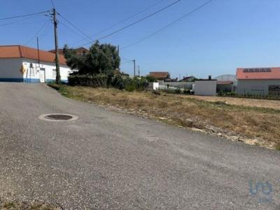 Acheter Terrain Leiria rgion LEIRIA