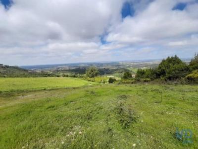 Acheter Terrain 1106 m2 Cadaval