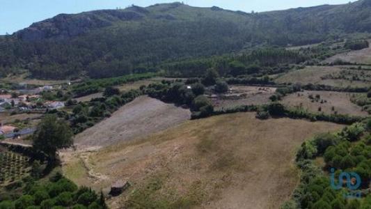 Acheter Terrain Cadaval rgion LISBOA