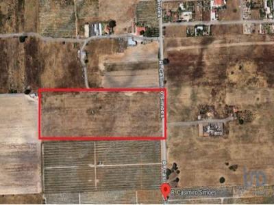 Annonce Vente Terrain Palmela