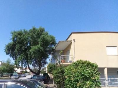 Annonce Vente Appartement Amarante