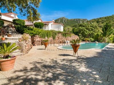 Vente Terrain Setubal AZEITAO-(SAO-LOURENAO-E-SAO-SIMAO) 15