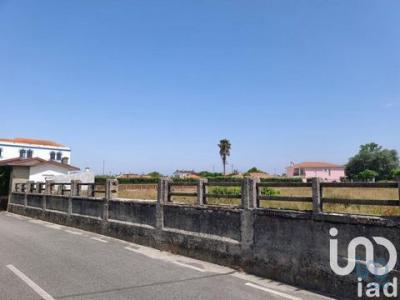 Acheter Terrain Murtosa rgion AVEIRO