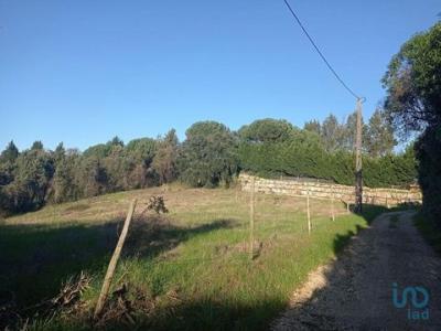 Annonce Vente Terrain Cadaval