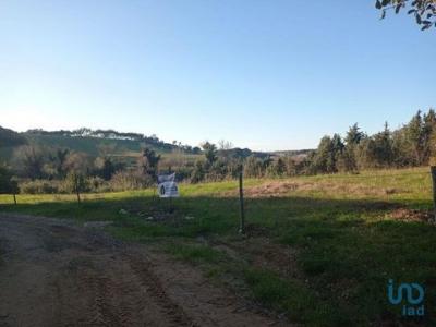 Acheter Terrain 750 m2 Cadaval