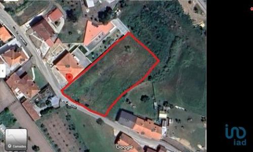 Acheter Terrain Leiria rgion LEIRIA