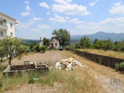 Annonce Vente Terrain Oliveira-do-hospital