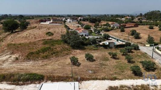 Acheter Terrain 3650 m2 Rio-maior