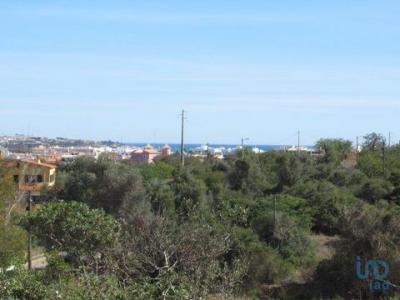 Annonce Vente Terrain Alcantarilha