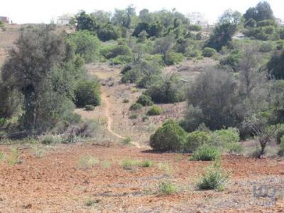 Acheter Terrain 32767 m2 Alcantarilha